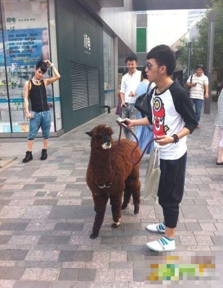 我想我跟不上这个时代了 你懂的