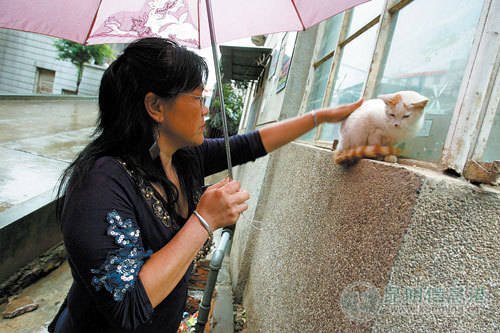四只小猫被毒死 猫妈妈不吃不喝守两天(组图)